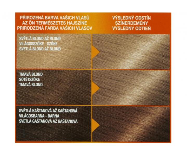 Permanentní barva Garnier Color Naturals 8.1 světlá blond popelavá