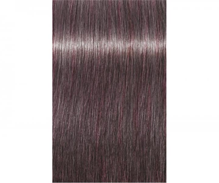 Barva na vlasy Schwarzkopf Professional Igora Royal 60 ml - 8-19 světlá blond popelavá fialová