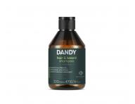Pánská cestovní sada pro péči o vlasy a vousy s kosmetickou taštičkou a hřebínkem na vousy Dandy
