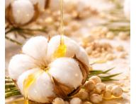 Bezoplachov� obnovuj�c� sprej pro such� a po�kozen� vlasy Kl�ral System Retinoil Restoring 3-Phasic Light Spray - 50 ml