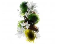 Maska pro barven� a po�kozen� vlasy Lor�al Professionnel Serie Expert Metal Detox - 250 ml