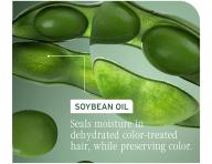 Řada pro barvené vlasy Matrix Biolage Color Last