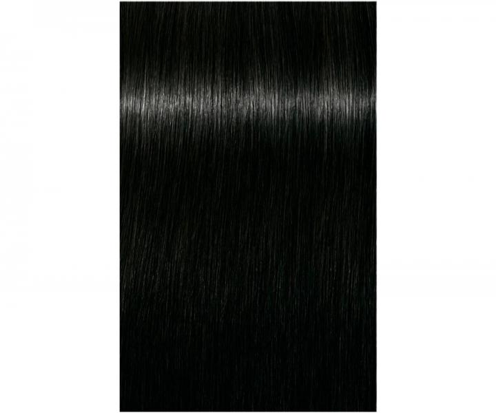 Barva na vlasy Schwarzkopf Professional Igora Royal 60 ml - 1-0 přírodní černá