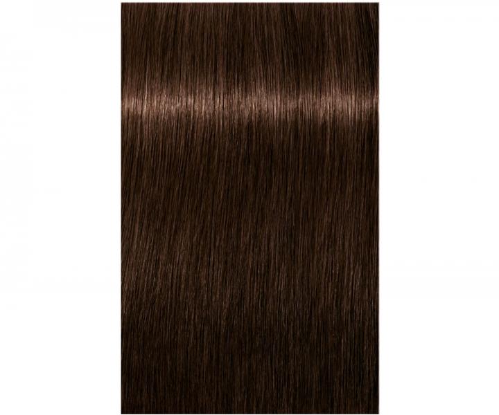 Barva na vlasy Schwarzkopf Professional Igora Royal 60 ml - 4-6 středně hnědá čokoládová