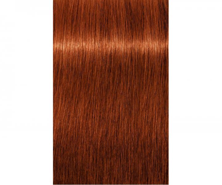 Barva na vlasy Schwarzkopf Professional Igora Royal 60 ml - 6-77 tmavá blond měděná extra