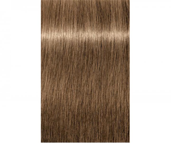 Barva na vlasy Schwarzkopf Professional Igora Royal 60 ml - 8-00 světlá blond přírodní extra