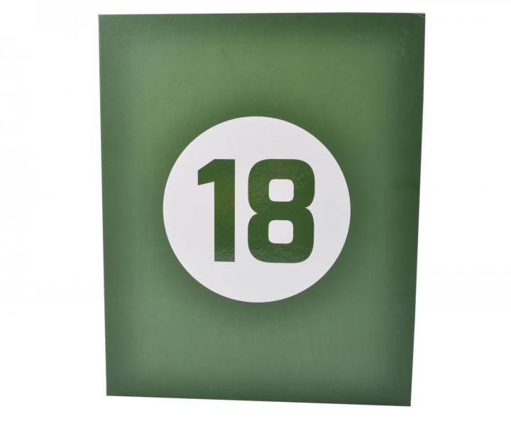 Profesion�ln� f�n na vlasy Fox Race 18 - 2100 W