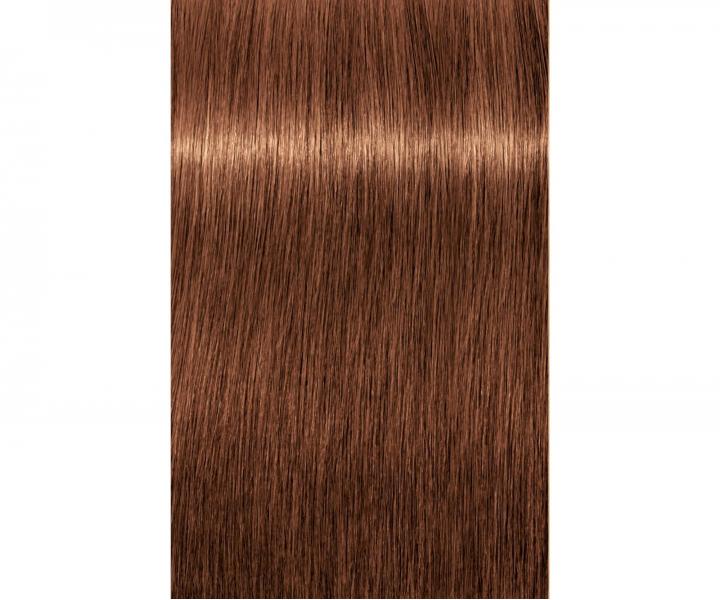 Barva na vlasy Schwarzkopf Professional Igora Royal 60 ml - 7-57 střední blond zlatá měděná