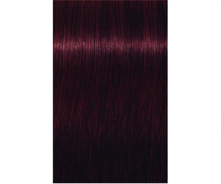 Barva na vlasy Schwarzkopf Professional Igora Royal 60 ml - 4-99 středně hnědá extra fialová