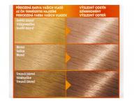 Permanentní barva Garnier Color Naturals 9N světlá blond
