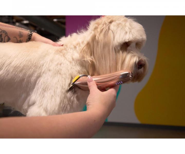 Profesion�ln� strojek na srst Wahl Motiva 2 3028118 - bronzov�