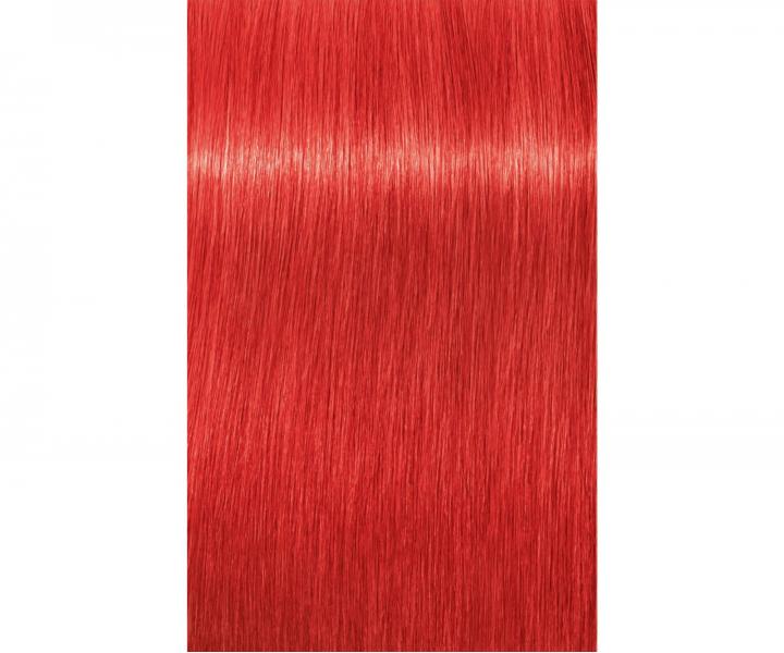Barva na vlasy Schwarzkopf Professional Igora Royal 60 ml - 0-88 Booster červený
