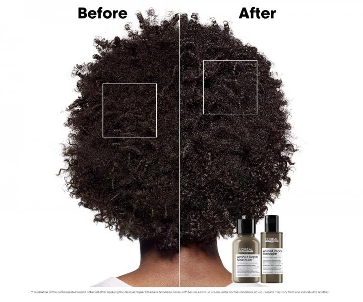 ada pro pokozen vlasy Loral Professionnel Serie Expert Absolut Repair Molecular