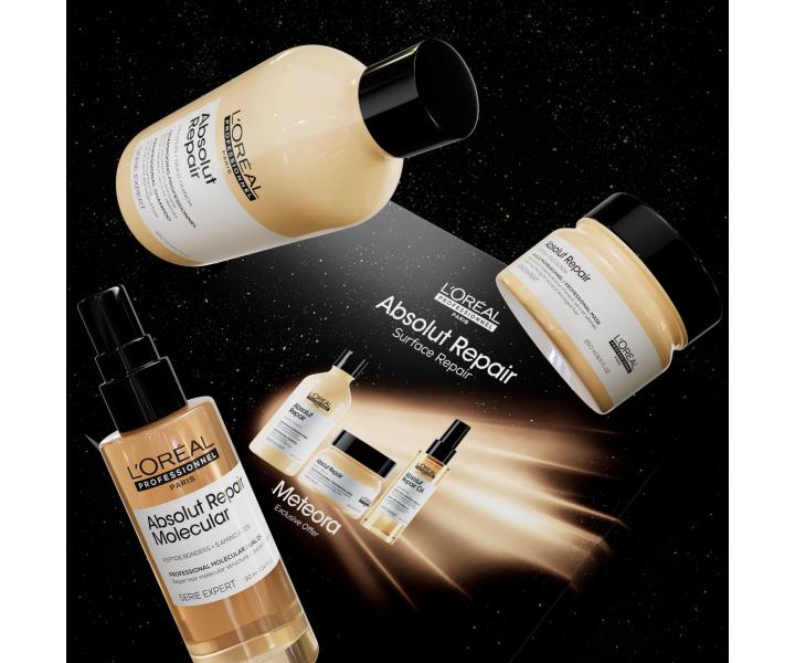 ada pro such a pokozen vlasy LOral Professionnel Serie Expert Absolut Repair