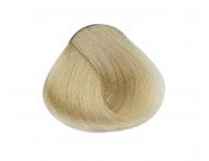 Barva na vlasy Yellow Professional Color 100 ml - odst�n 10.1 popelav� nejsv�tlej�� blond