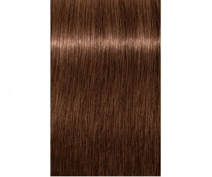 Barva na vlasy Schwarzkopf Professional Igora Royal 60 ml - 6-6 tmavá blond čokoládová