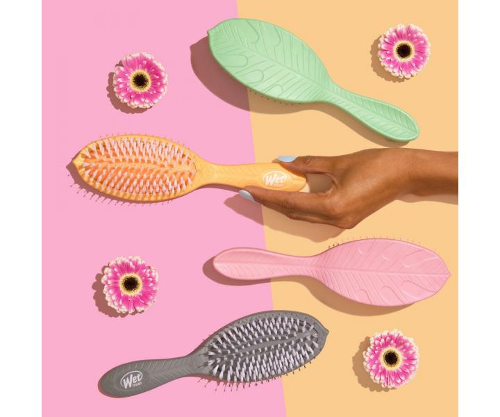 Kart na rozesvn vlas s pms melounovho oleje Wet Brush Go Green Treatment & Shine Brush - rov