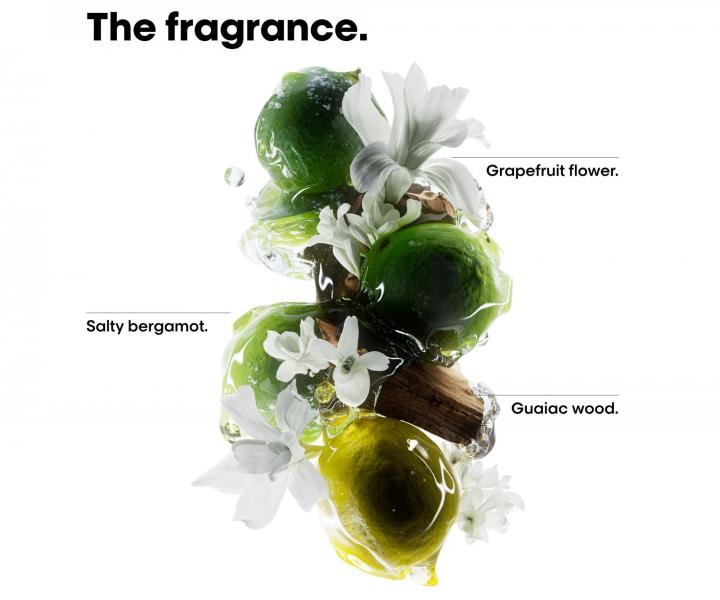 Cestovn� sada pro barven� a po�kozen� vlasy Lor�al Professionnel Serie Expert Metal Detox Mini Trio Kit