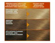 Permanentní barva Garnier Color Naturals 9.1 velmi světlá blond popelavá