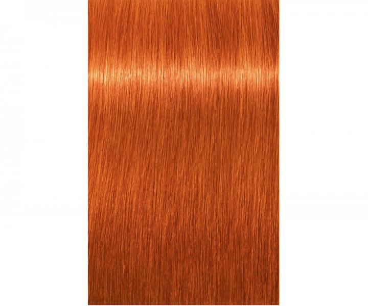 Barva na vlasy Schwarzkopf Professional Igora Royal 60 ml - 8-77 světlá blond měděná extra