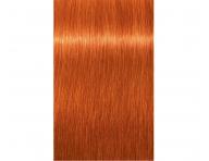 Barva na vlasy Schwarzkopf Professional Igora Royal 60 ml - 8-77 světlá blond měděná extra