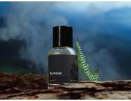 Pánská parfémová voda Beviro Eau de Parfum Šumava - 2 ml