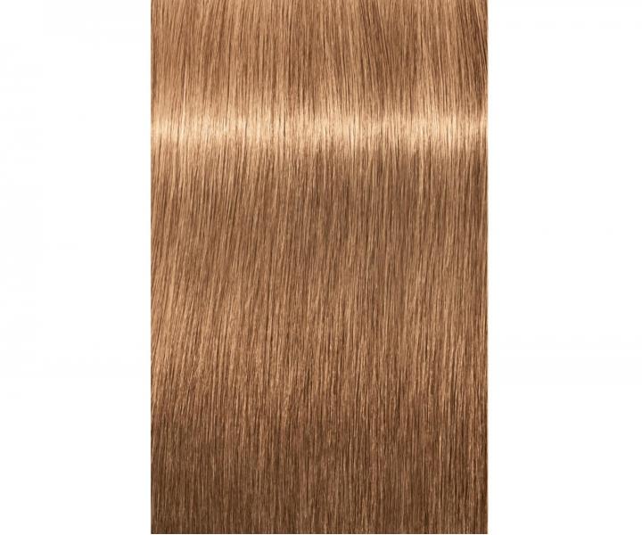 Barva na vlasy Schwarzkopf Professional Igora Royal 60 ml - 8-65 světlá blond čokoládová zlatá