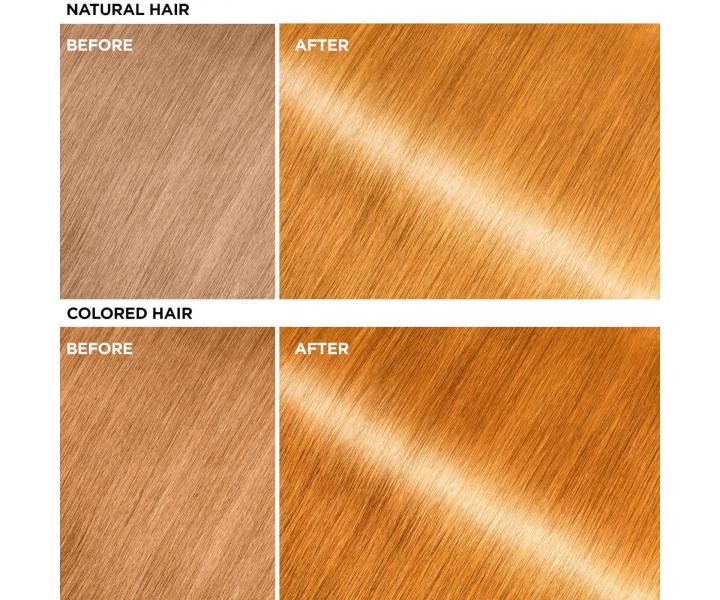 Barvic� maska na vlasy Garnier Olia Gloss