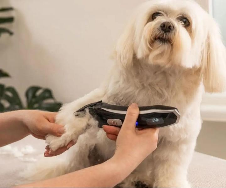 Profesion�ln� strojek na zv��ec� srst Wahl Professional Smart Clip 3028588 - �ern�
