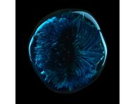 Intenzivn kra proti padn vlas Loral Professionnel Aminexil Advanced Anti-Hair Loss - 42 x 6 ml