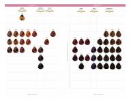 Barva na vlasy Selective Professional ColorEvo Beyond Color 100 ml - 2.0 velmi tmav� hn�d�