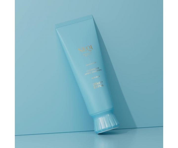 Regenera�n� kondicion�r pro pos�len� po�kozen�ch a barven�ch vlas� Neqi Build Boost Conditioner - 250 ml
