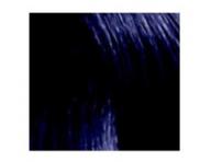 Peliv na vlasy Loral Diarichesse 50ml - odstn 2.10 erno-modr