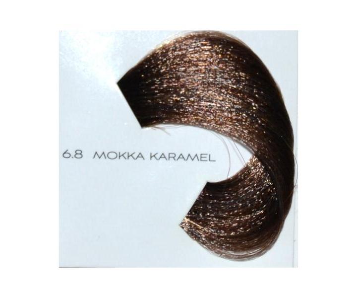 Peliv na vlasy Loral Diarichesse 50 ml - odstn 6.8 karamelov
