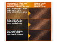Permanentn� barva Garnier Color Naturals 6.23 �okol�dov� karamelov�