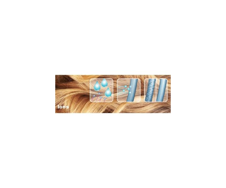 F�n na vlasy Valera Swiss F@N 2000 ionic 545.08 CA