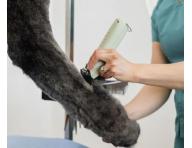 Profesion�ln� strojek na zv��ec� srst Wahl Professional KMC+ Cord/Cordless Clipper - mintov� zelen�
