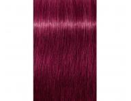 Barva na vlasy Schwarzkopf Professional Igora Royal 60 ml - 0-89 Booster erveno-fialov