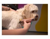 Profesion�ln� strojek na srst Wahl Motiva 2 3028118 - bronzov�