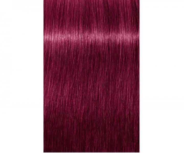 Barva na vlasy Schwarzkopf Professional Igora Royal 60 ml - 9-98 extra světlá blond fialová červená