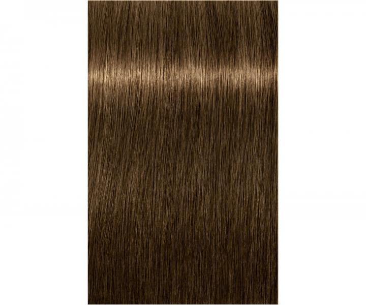 Barva na vlasy Schwarzkopf Professional Igora Royal 60 ml - 6-4 tmavá blond béžová