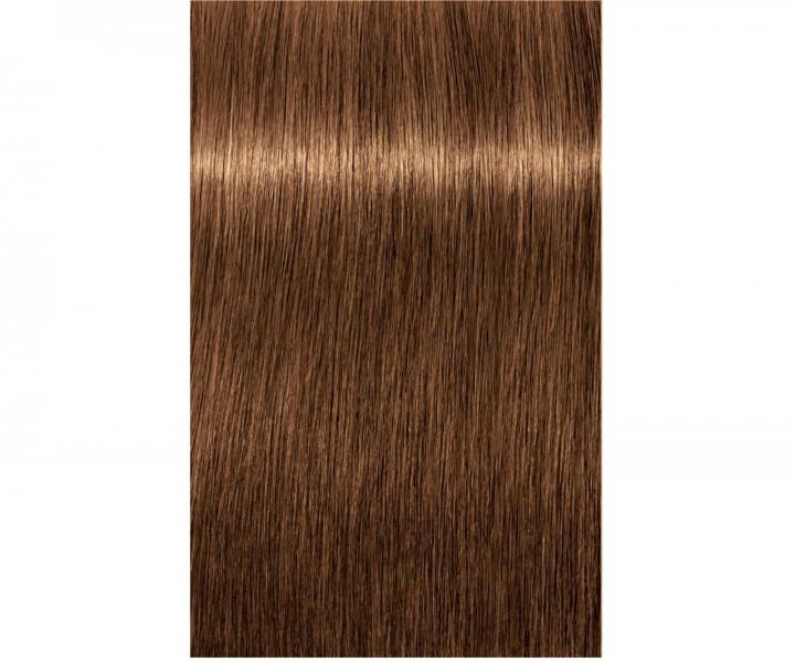 Barva na vlasy Schwarzkopf Professional Igora Royal 60 ml - 7-55 střední blond zlatá extra