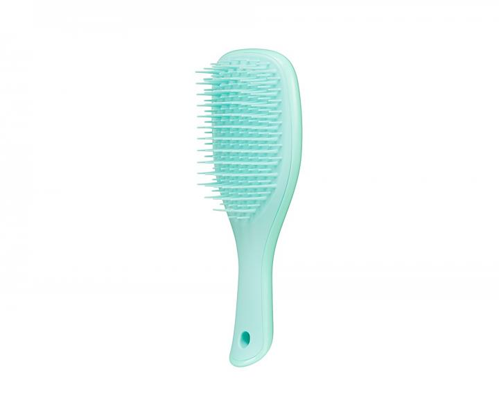 Cestovní kartáč na rozčesávání vlasů Tangle Teezer The Wet Detangler Mini Sea Green - tyrkysový