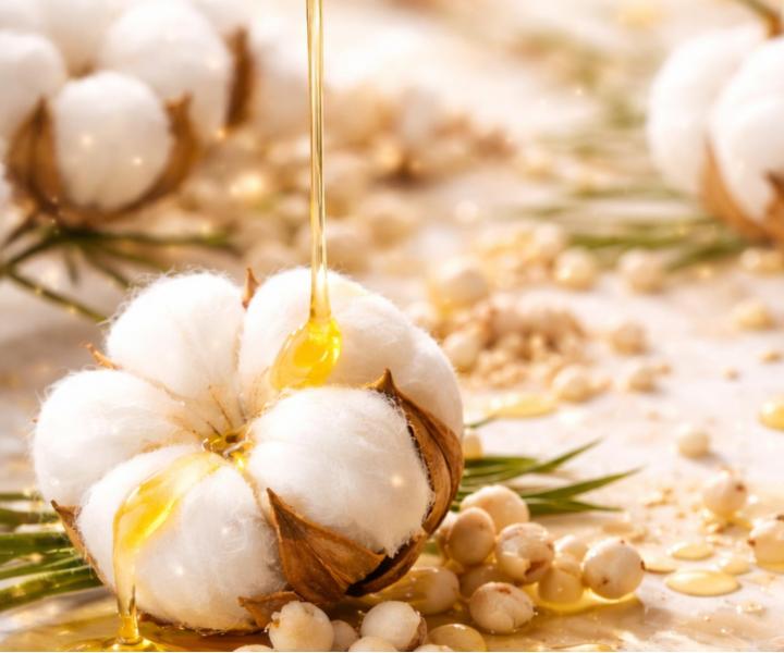 �ampon pro such�, unaven� a nam�han� vlasy Kl�ral System Retinoil Purifying Preparing Shampoo - 1000 ml