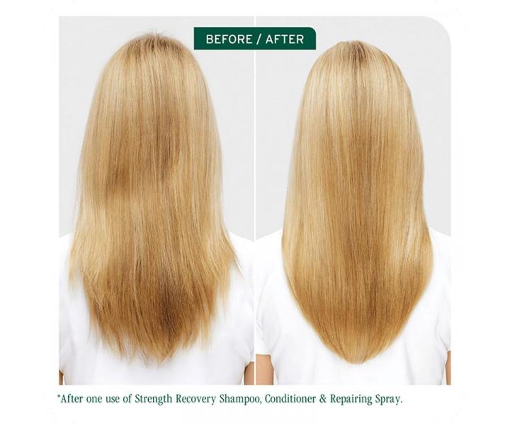 Šampon pro poškozené vlasy Biolage Strength Recovery Shampoo