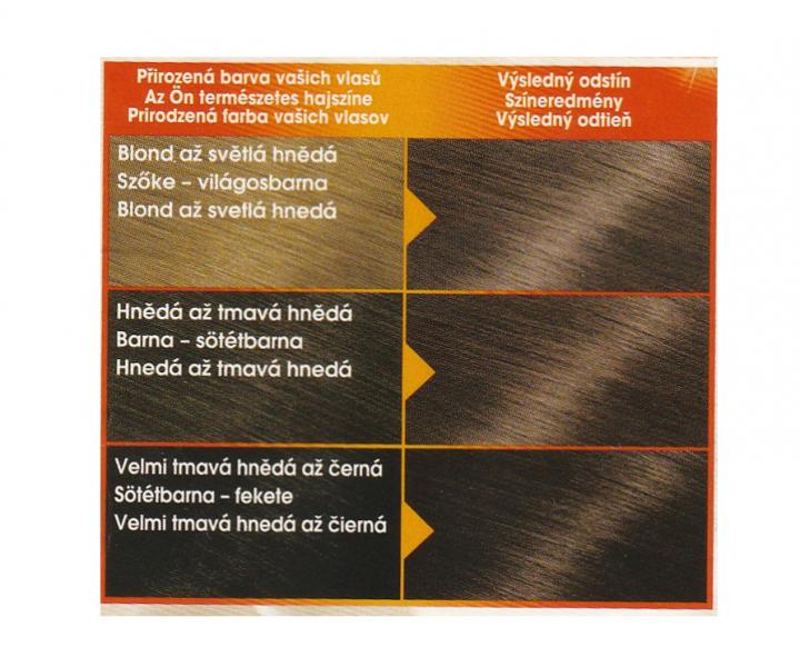 Permanentn barva Garnier Color Naturals 6N pirozen tmav blond