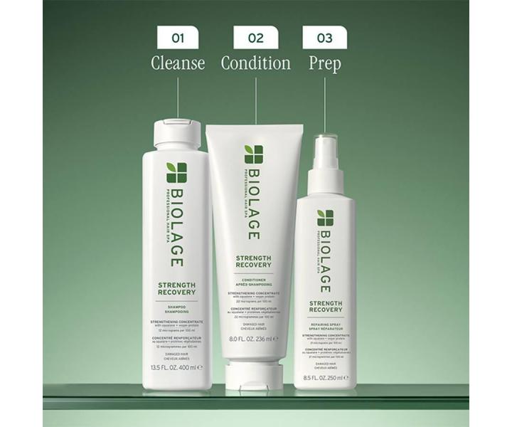 Šampon pro poškozené vlasy Biolage Strength Recovery Shampoo