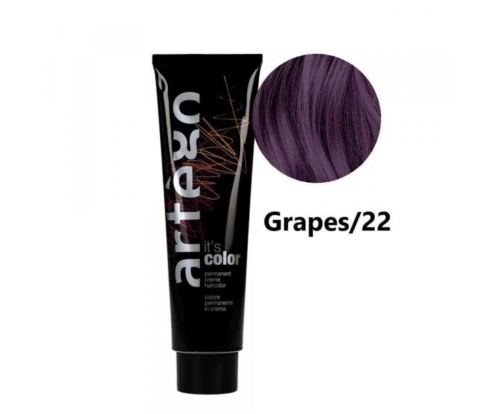 Krémová barva na vlasy Artégo IT´S Color Control 150 ml - Grapes/22