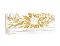 Lor�al �ehli�ka na vlasy s p�rou SteamPod GOLD + 2 D�RKY