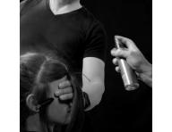 Sprej pro lesk a prunou fixaci vlas Sebastian Professional Shine Define Hairspray - 200 ml
